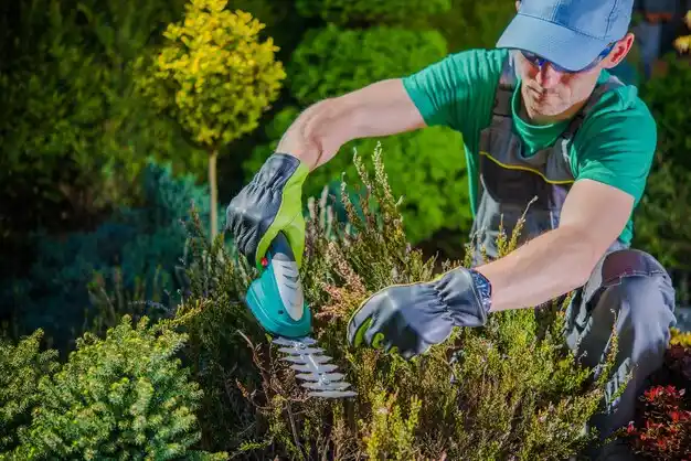 landscaping services Ash Grove
